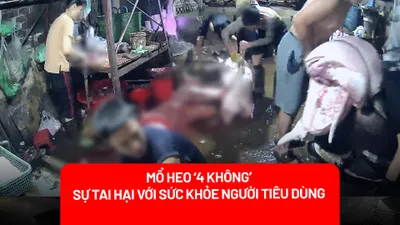 Mổ heo '4 không': Những tai hại bất ngờ với sức khoẻ người dùng