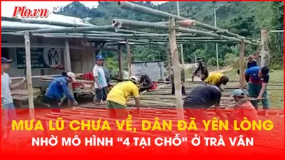 Điểm sáng mô hình '4 tại chỗ' ở vùng cao Trà Vân