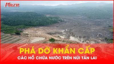 Lâm Đồng yêu cầu phá dỡ khẩn cấp các hồ chứa nước trên núi Tân Lai, chủ đầu tư nói gì?