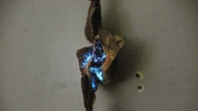 Sốc với thịt heo Trung Quốc phát sáng trong đêm