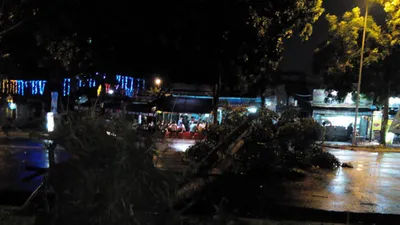 Mưa giông cây ngã chắn hết đường đi
