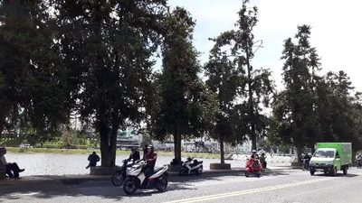 Bão số 12: Đà Lạt trời vẫn đẹp 