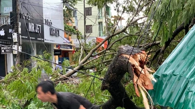 Hàng loạt cột điện ở Huế bị gãy, cúp điện cả tỉnh