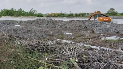 Vụ san ủi rừng ngập mặn: Đình chỉ thi công bờ kè