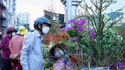 Video: Tham quan Chợ hoa xuân ‘Trên bến dưới thuyền’ ngày khai mạc