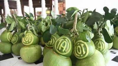 Đặt bưởi hồ lô từ tháng 9 mới có hàng chưng Tết