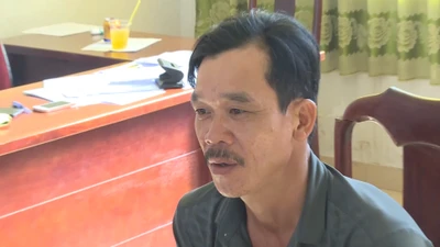 Khởi tố đối tượng trồng trái phép hơn 500 cây cần sa