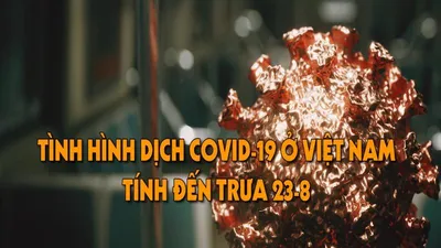 Tình hình dịch COVID-19 ở Việt Nam tính đến trưa 23-8