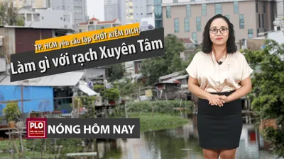 Nóng hôm nay: Tái lập chốt kiểm dịch; cải tạo rạch Xuyên Tâm