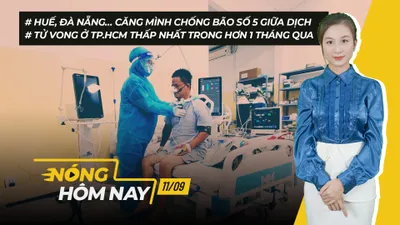 Nóng hôm nay: Căng mình chống bão số 5; Số ca COVID-19 tử vong ở TP.HCM giảm