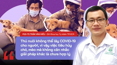 Vụ 14 chú chó, mèo ở Cà Mau: Giải mã khả năng vật nuôi lây bệnh cho người