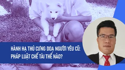 Video: Hành hạ thú cưng doạ người yêu cũ: Pháp luật chế tài thế nào?