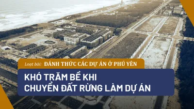 Video: Khó trăm bề khi chuyển đất rừng làm dự án ở Phú Yên