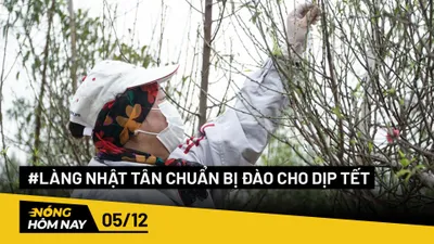 Nóng hôm nay: Làng Nhật Tân chuẩn bị đào cho dịp Tết