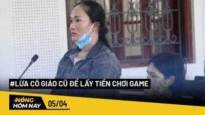 Nóng hôm nay: Cây đổ tại trường Trần Văn Ơn 'có dấu hiệu mục rỗng phần rễ'