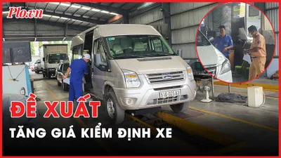 Nóng hôm nay: Mưa lớn, cá chết đầy kênh Nhiêu Lộc – Thị Nghè