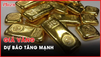 Nóng hôm nay: Cựu Chủ tịch Louis Holdings bị phạt 5 năm 6 tháng tù