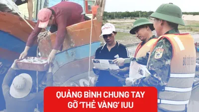 Nỗ lực và giải pháp của Quảng Bình trong việc chung tay gỡ 'thẻ vàng' IUU
