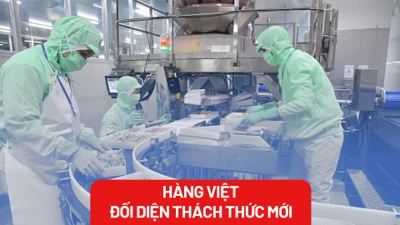 Xuất khẩu phục hồi nhưng hàng Việt đối diện thách thức mới