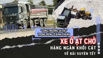 Video điều tra: Xe ồ ạt chở hàng ngàn khối cát về bãi xuyên tết