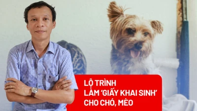 'Giấy khai sinh' cho chó mèo: Lộ trình thế nào cho phù hợp?