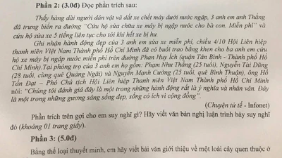 '3 anh em sửa xe miễn phí ở Sài Gòn' vào đề thi ngữ văn