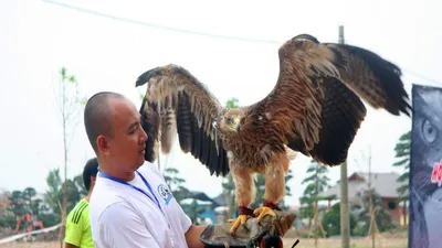 Hào hứng với hội thi chim ở Hà Nội