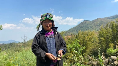 1 phụ nữ trồng gần 2.000 cây thuốc phiện để bán 