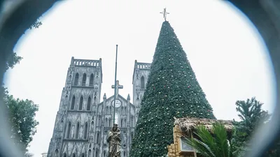 Cận cảnh những cây thông noel 'khổng lồ' ở Hà Nội phục vụ dịp Giáng sinh 2023