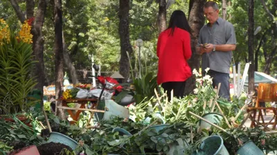 Đập từng giỏ hoa vì không muốn bị 'hôi của'