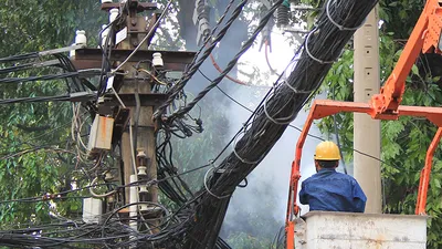 Phong tỏa đường vì nhánh cây gãy gây cháy dây điện 