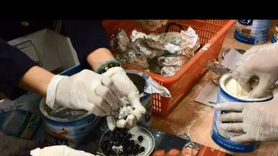 Giấu ngà voi, vảy tê tê trong bụng cá hồi và sữa bột