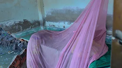 TP.HCM: 5 ngôi nhà bất ngờ sụp xuống sông