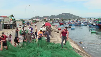 Dân Ninh Thuận chằng chống tài sản chống bão số 12
