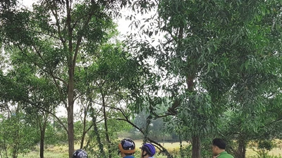 Cảnh sát vây bãi sậy bắt nhóm cướp táo tợn ở Bình Chánh