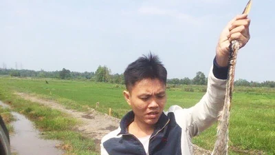 Bạn thân của Tuấn “khỉ” bị khởi tố