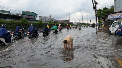 Mưa lớn, đường ngập, người dân hối hả đi móc cống