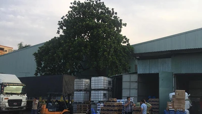 Cảnh sát đột kích kho hàng nghi nhập lậu ở quận 12