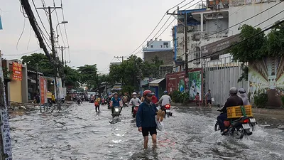 Mưa lớn, đường ngập, cây ngã khắp nơi ở TP.HCM