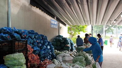 UBND phường tổ chức 'siêu thị' bình ổn, bán giá gốc ở quận 12