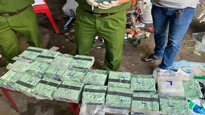 Phá đường dây ma túy khủng vận chuyển bằng xe ‘luồng xanh’ vào TP.HCM