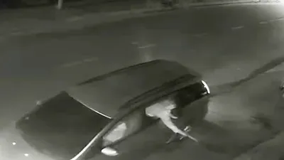 Tái diễn nạn đi trộm chó bằng ô tô ở vùng ven TP.HCM