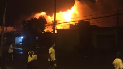 Xưởng hóa chất cháy 4 ngày chưa tắt, dân di tản, vật nuôi chết