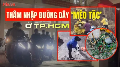 Trailer điều tra: Thâm nhập đường dây ‘mèo tặc’ ở trung tâm TP.HCM