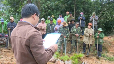 Chiếm đất rừng sản xuất trái phép, 4 hộ dân bị phạt hơn 148 triệu đồng