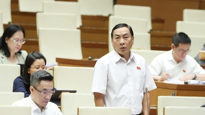 Đại biểu Quốc hội: Sắp tới liệu có ngân hàng khác như SCB hay không?