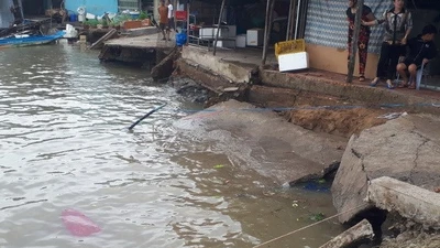 Cà Mau: 3 căn nhà biến mất trong đêm