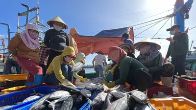 Hôm nay 7-4, Báo Pháp Luật TP.HCM ra mắt chương trình 'Cùng ngư dân thắp sáng đèn trên biển'