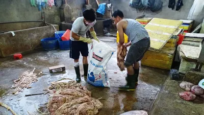 Mỗi ngày bán 200 ký nội tạng bò ngâm hóa chất ra thị trường