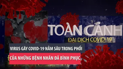 Video: Toàn cảnh tình hình đại dịch COVID-19 ngày 30-4